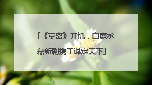 《莫离》开机，白鹿丞磊新剧携手谋定天下