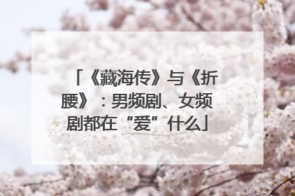 《藏海传》与《折腰》：男频剧、女频剧都在“爱”什么