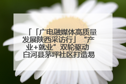 「广电融媒体高质量发展陕西采访行」“产业+就业”双轮驱动 白河县茅坪社区打造易地搬迁后扶新样本