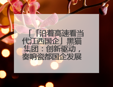 「沿着高速看当代江西国企」黑猫集团：创新驱动，奏响瓷都国企发展新乐章