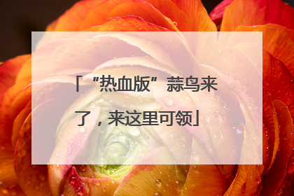 “热血版”蒜鸟来了，来这里可领