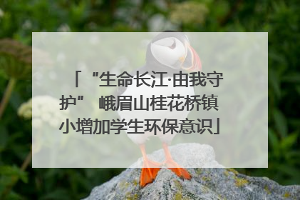 “生命长江·由我守护” 峨眉山桂花桥镇小增加学生环保意识