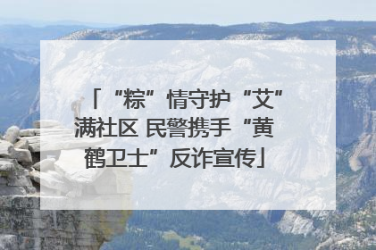 “粽”情守护“艾”满社区 民警携手“黄鹤卫士”反诈宣传