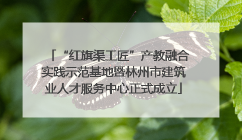 “红旗渠工匠”产教融合实践示范基地暨林州市建筑业人才服务中心正式成立