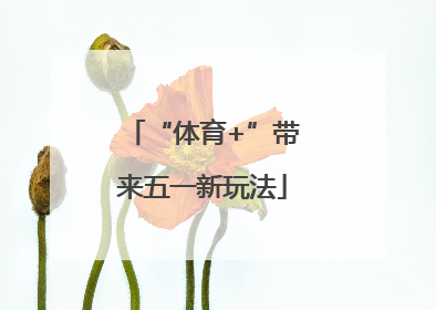 “体育+”带来五一新玩法