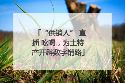 “供销人” 直播 吆喝，为土特产开辟数字销路