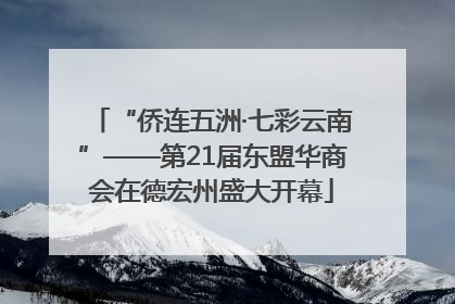 “侨连五洲·七彩云南”——第21届东盟华商会在德宏州盛大开幕