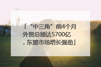 “中三角”前4个月外贸总额达5700亿，东盟市场增长强劲