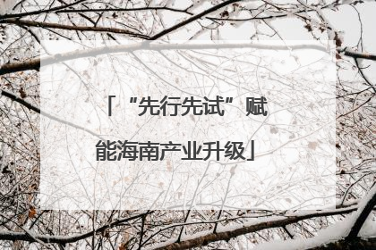 “先行先试”赋能海南产业升级