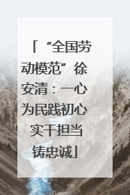“全国劳动模范”徐安清：一心为民践初心 实干担当铸忠诚