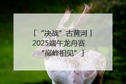 “决战”古黄河丨2025端午龙舟赛“巅峰相见”