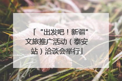 “出发吧！新疆”文旅推广活动（泰安站）洽谈会举行