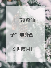 “凌波仙子”现身西安世博园
