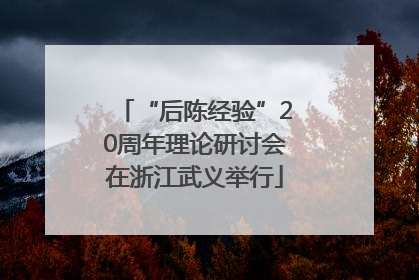 “后陈经验”20周年理论研讨会在浙江武义举行