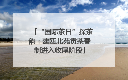 “国际茶日”探茶韵：建瓯北苑贡茶春制进入收尾阶段