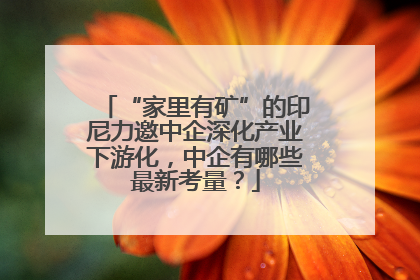 “家里有矿”的印尼力邀中企深化产业下游化，中企有哪些最新考量？