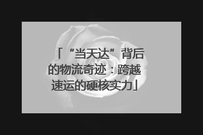 “当天达”背后的物流奇迹：跨越速运的硬核实力