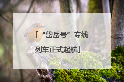 “岱岳号”专线列车正式起航