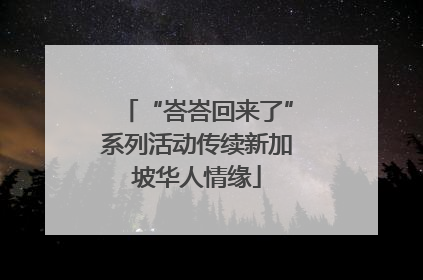 “峇峇回来了”系列活动传续新加坡华人情缘