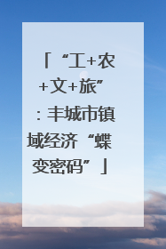 “工+农+文+旅”：丰城市镇域经济“蝶变密码”