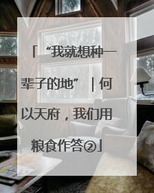 “我就想种一辈子的地”｜何以天府，我们用粮食作答②