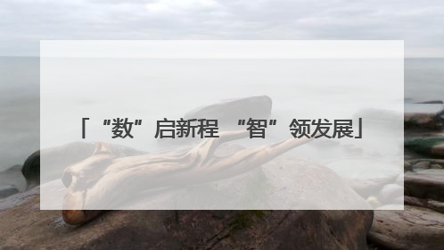 “数”启新程 “智”领发展