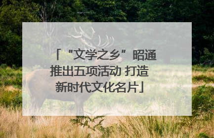 “文学之乡”昭通推出五项活动 打造新时代文化名片