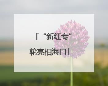 “新红专”轮亮相海口