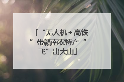 “无人机＋高铁”带赣南农特产“飞”出大山