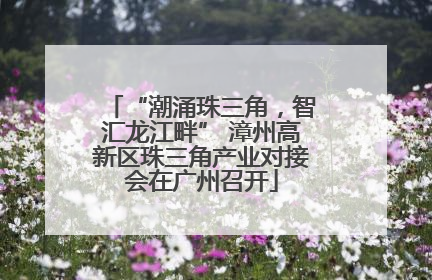 “潮涌珠三角，智汇龙江畔” 漳州高新区珠三角产业对接会在广州召开