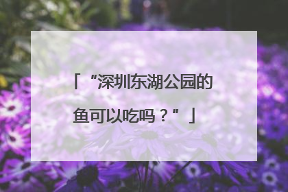 “深圳东湖公园的鱼可以吃吗？”