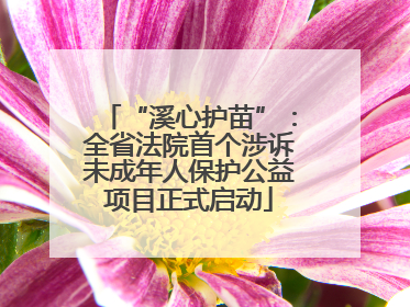 “溪心护苗”：全省法院首个涉诉未成年人保护公益项目正式启动