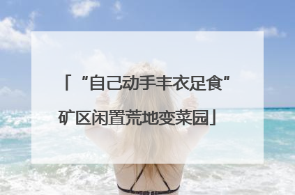 “自己动手丰衣足食”矿区闲置荒地变菜园