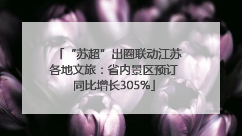 “苏超”出圈联动江苏各地文旅：省内景区预订同比增长305%