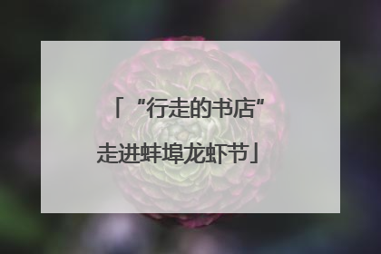“行走的书店”走进蚌埠龙虾节
