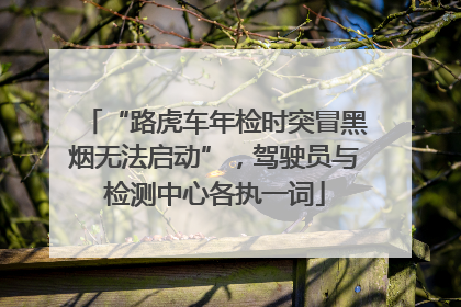 “路虎车年检时突冒黑烟无法启动”，驾驶员与检测中心各执一词