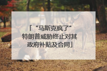 “马斯克疯了” 特朗普威胁终止对其政府补贴及合同