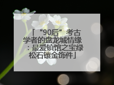 “90后”考古学者的盘龙城情缘：最爱镇馆之宝绿松石镶金饰件