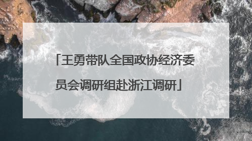 王勇带队全国政协经济委员会调研组赴浙江调研