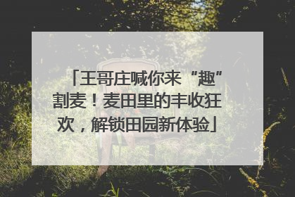 王哥庄喊你来“趣”割麦！麦田里的丰收狂欢，解锁田园新体验