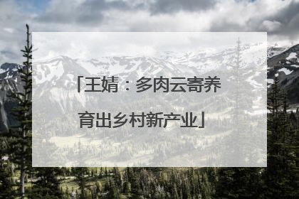 王婧：多肉云寄养 育出乡村新产业