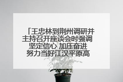 王忠林到荆州调研并主持召开座谈会时强调 坚定信心 加压奋进 努力当好江汉平原高质量发展排头兵