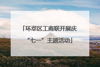 环翠区工商联开展庆“七一”主题活动