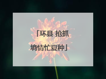 环县 抢抓墒情忙夏种