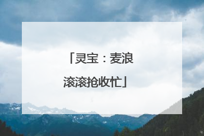 灵宝：麦浪滚滚抢收忙