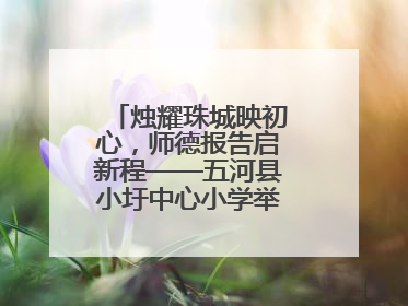 烛耀珠城映初心，师德报告启新程——五河县小圩中心小学举行师德报告会