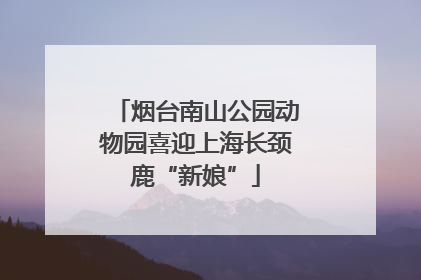 烟台南山公园动物园喜迎上海长颈鹿“新娘”