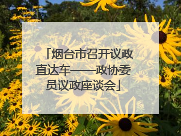 烟台市召开议政直达车——政协委员议政座谈会