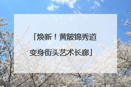 焕新！黄陂锦秀道变身街头艺术长廊