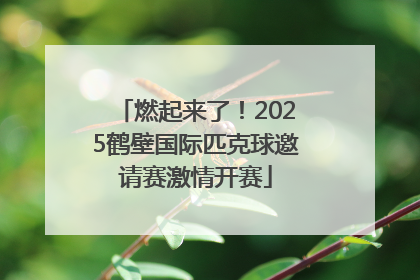 燃起来了！2025鹤壁国际匹克球邀请赛激情开赛